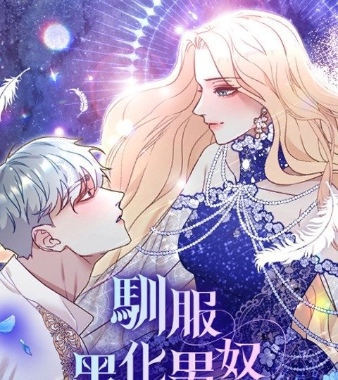 驯服黑化男奴封面